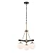 Varaluz Allie 3-Lt Chandelier - Black/Satin Brass