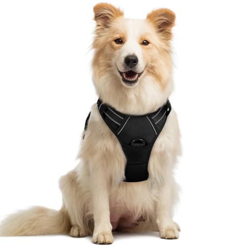 No Pull Dog Harness for Medium Dogs Adjustable Padded Soft Vest with 2 Leash Clips Reflective Safety Nylon Easy Control Handle Comfortable Durable No Choke Pet Harness Black M