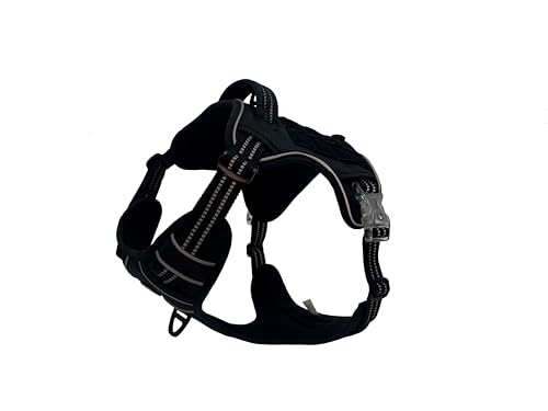 Rated 4.1 out of 5 stars from 28 reviews