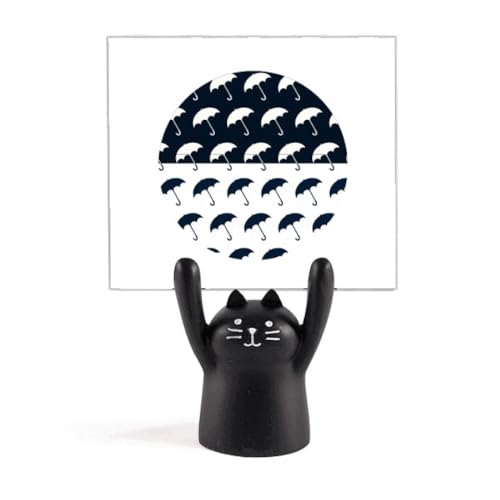 ƍ̎P̉J̓VC J[gD[LX^h^z_[