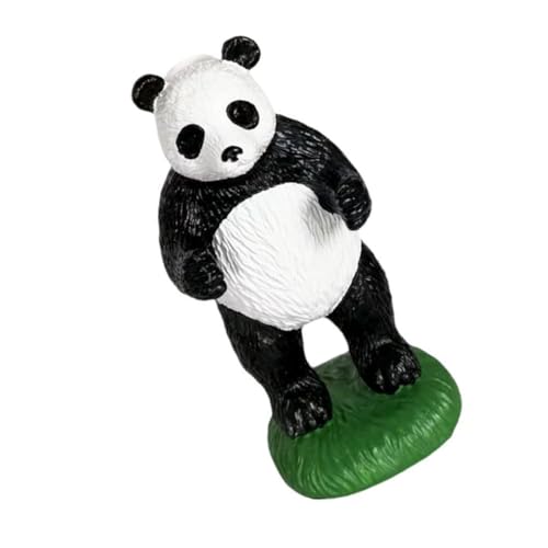 STOBOK p_fUCዾX^h 킢`󃁃Klz_[ fXNgbv[bN CeAp  Xܗp