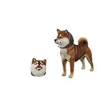 Mr.Z ミスターZ 1/6 柴犬 スタチュー 001 黄毛 フィギュア Amazon | Mr.Z 1/6 サイズ 柴犬 可愛い 犬 動物 シベリア リアル
