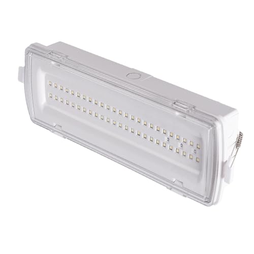 Alpinaluz Luz de Emergencia LED Estanca IP54 4W 530lm – Empotrable con Clips o Superficie – 3h Autonomía - Resistente al Agua y Polvo – Uso Profesional e Industrial, Interior y Exterior Cubierto
