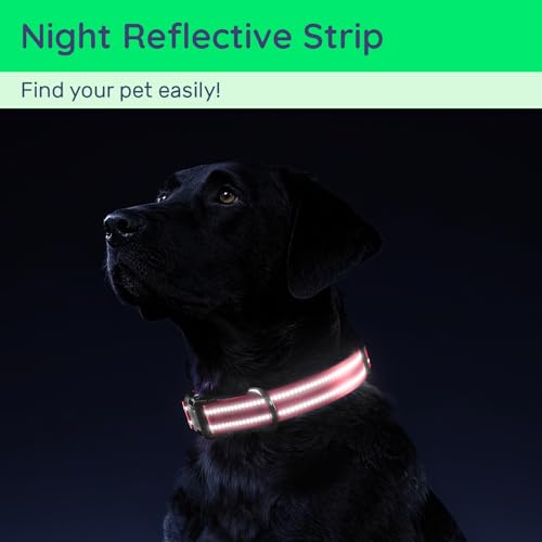 WhoseID Reflective Dog Collar with AirTag Holder, Waterproof Dog Collar with QR Code, Heavy Duty Adjustable Pet Collar for Small Medium Large Dogs, Rose - Image 5