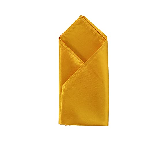 Image of TIE STUDIO Men's Solid Pocket Square | Size- 10cm x 10cm | Colour-Royal Blue | Pack of 1 |