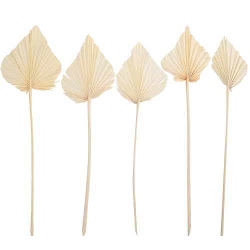 Set de 5 hojas de palma secas blancas decorativas miniatura 1