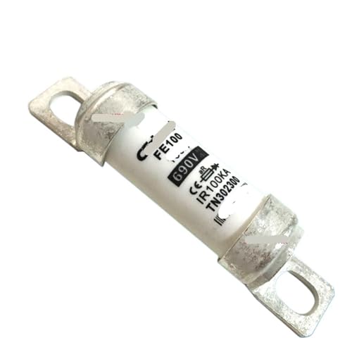 Fusible FE 63A 690Vac/dc solution court-circuit pour armoire FE40 40A