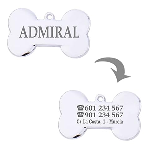 Placa de identificación personalizada para mascotas en acero inoxidable Cover