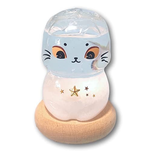 fullion Xg[OX ˂ Storm Glass Ebhx[Xt VC\{g CeA Mtg L cat