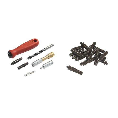 WAGNER Kit d'injection pour Le Traitement du Bois, Accessoire pour Les systèmes de Peinture & Kit de Chevilles 100 pièces mâles pour Les systèmes de...