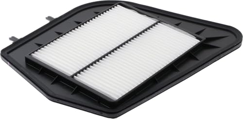 ACDelco GM Original Equipment A2029C (25798270) Air Filter