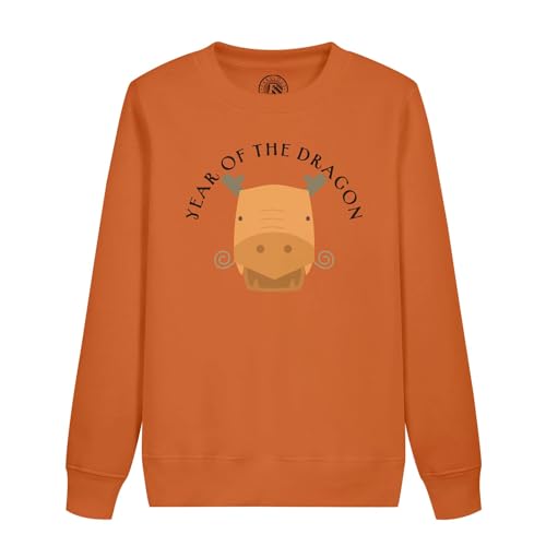 Sweatshirt enfant Année du Dragon en coton doux motif zodiaque chinois pour fille et garçon
