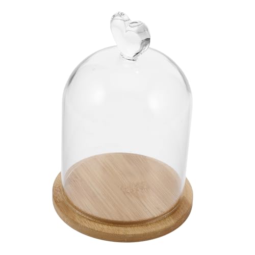 VALICLUD Cloche Verre Transparent avec Base pour Fleurs Décorations et Souvenirs Présentoir Élégant pour Intérieur