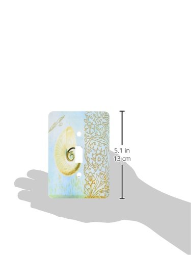 Interruptor Day Shell en Aqua Beach Theme Art 3dRose LSP_79352_1 para pared 3