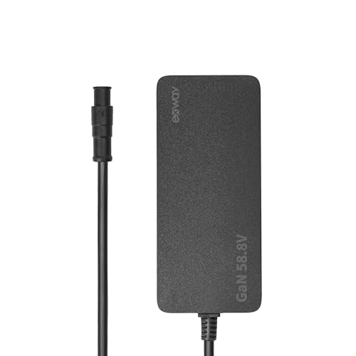 Exway GaN Charger, for Exway Electric Skateboard (Flex Pro, GaN167W)
