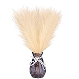 6 piezas plumas de Pampa hierba, hierbas de Pampa secas, ramo de flores de Pampa secas naturales, decorativo florero artificial para decoración interior de dormitorio, sala de estar, balcón