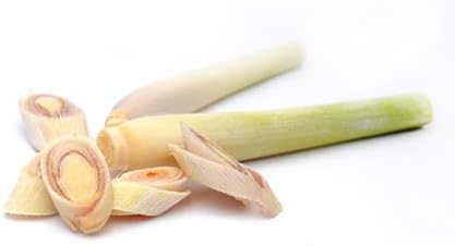 Aroma Labs, Olio Essenziale di Citronella o Lemongrass, Certificato Bio Ecocert, 100% Puro, Naturale, Integrale - Image 3