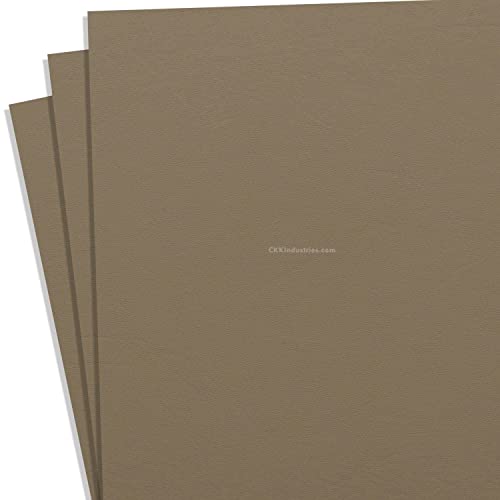 KYDEX Thermoform Sheet - (P1 Texture) - (.080 Thickness) - (12in x 12in) - (Flat Dark Earth Spring) - (3 Sheets) - DIY Holster Making, Airsoft Armor, Cosplay Uniforms