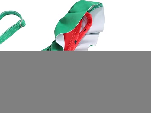 LIZENS Two-Pieces Girls Swimsuit Watermelon Printed Bikini Sets Ruffle Girls Bathing Suit(BL061,8-9T)