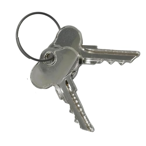 Congparts 2Pcs Ignition Keys 089070 Compatible with Gehl Telehandlers 552 553 663 883 1083 RS5-19 RS5-34 RS6-34 RS6-42 RS8-42 RS8-44 RS5-19 DL6 DL8 DL10 DL12 DL7-44 DL9-44 DL11-44H DL11L