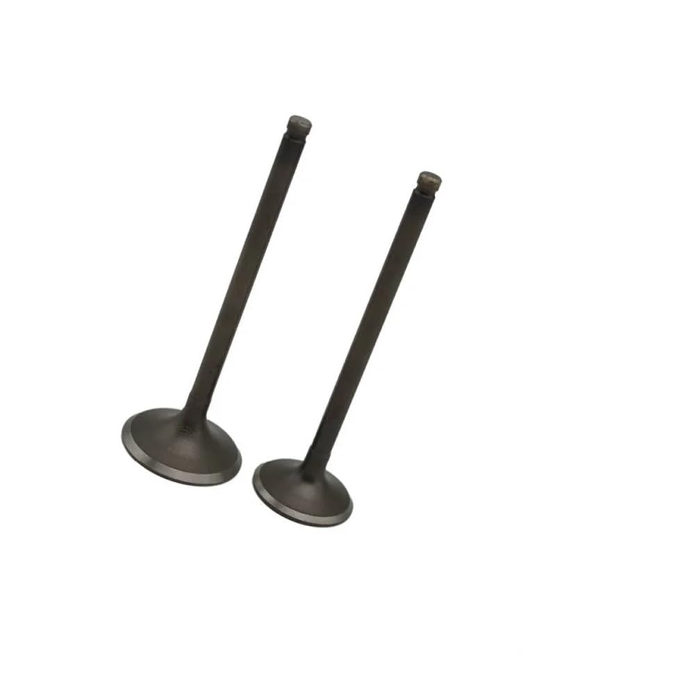 8 Joints de Queue de soupape d'admission et d'échappement compatibles avec MC15, MC20, MC29, VT250, VTZ250 et MC33