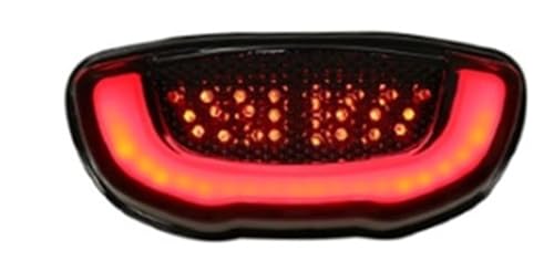 Luz trasera y de freno para CB650R con intermitentes integrados y luz roja led