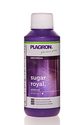 Preisvergleich Produktbild Plagron Sugar Royal 100 ml Blühstimulator