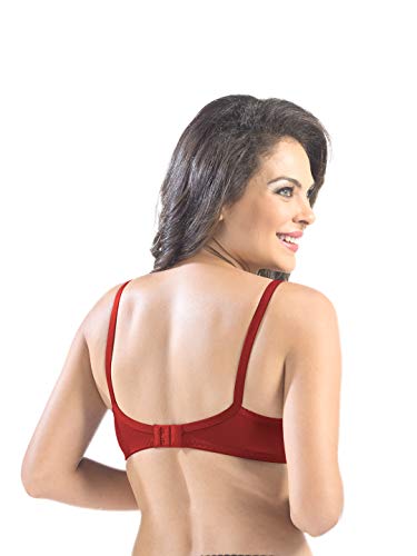 Image of SONARI Womens Cotton Everyday Bra | Non Padded, Wire Free, Comfortable Bra with Seamed Cups | Medium Coverage, Hook and Eye Closure for Everyday Wear | Adjustable Strap for a Customized Fit - Loreal