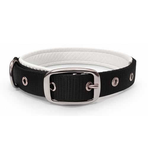 Image of Dog Collar with Padding | 01 Inch Width | Nylon Padded Collar | Easy to Clean | Best for Activities Like Walking, Training, Running and More (Black)