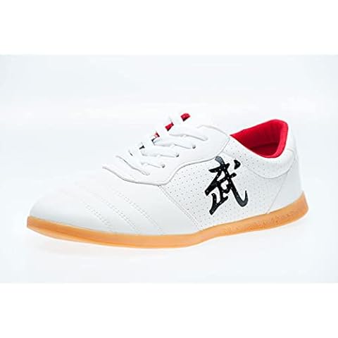 YYDSM Martial Arts Shoes,Taekwondo Shoes Unisex Wushu Karate Kung Fu Tai Chi Boxing Sport Gym Martial Arts Breathable Sneakers Outdoor driving casual shoes(Size:42 EU,Color:White) Cover