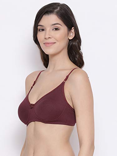 Image of Lyra Women's Cotton Non Padded Wire Free T Shirt Bra