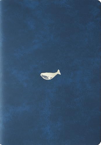 GR~\ }gJ 蒠 2026N 4n܂ B6 EB[N[ tg |Cg zG[ DRWB500