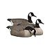 Greenhead Gear Canada Goose Shells