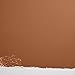 BACKDROP | Premium Interior Paint | Standard Semi Matte, Low Sheen Finish | Self-Priming, Low VOC, Green Wise Certified | GHOST RANCH – Warm terracotta | 0.5 Gallon