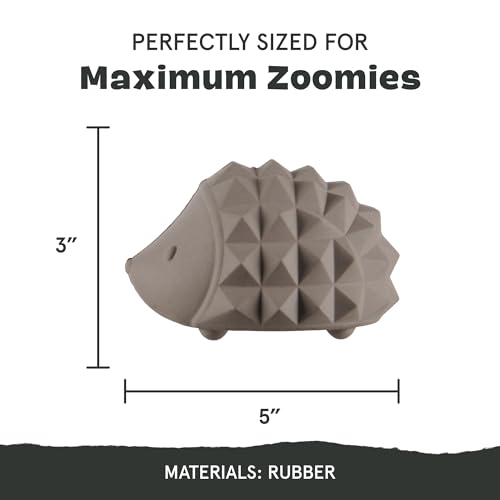 Image of BarkBox Sven The Hedgie Super Chewer Dog Toy - Large | Natural Rubber, Wacky Bounce & Rippled Texture | Durable Dog Toy for Aggressive Chewers, Medium to Dogs