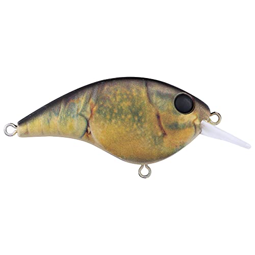 Berkley Frittside leurre de pêche idéal pour vos sorties en rivière