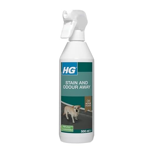 HG Dog Stain & Odour Remover Spray