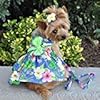 Doggie design blue lagoon hawaiian hibiscus dog dress with matching leash medium  urban country home decor
