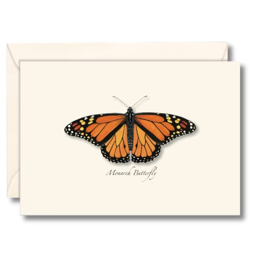 Monarch Butterfly Boxed Note Cards-- Set of 8 by Earth Sky & Water