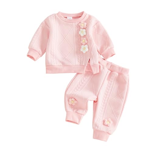 Haomibacu Toddler Baby Girl Clothes 3D Flower Embroidery Cute Long Sleeve Sweatshirt Tops Solid Color Casual Pants 2Pcs Set Infant Fall Winter Outfit (Pink, 6-12 Months)