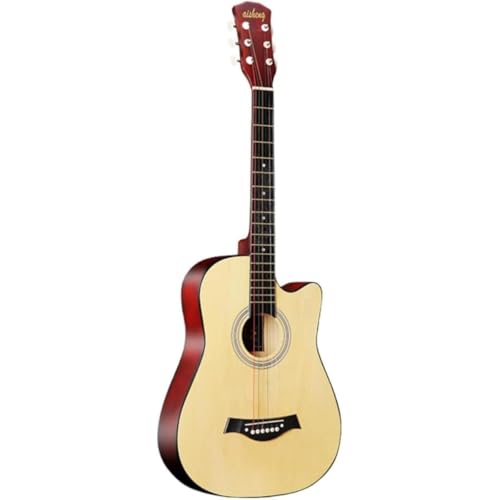 Tufduzo tH[NM^[S 38 C`M^[wlS҃AR[XeBbNM^[ZbgGg[x̗KM^[p (38C`,؂̐F)