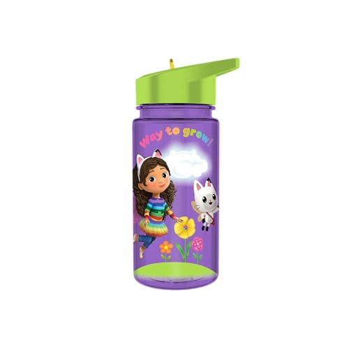 Silver Buffalo Gabby & Panda Fairy Dollhouse Flip Straw Water Bottle for Kids 16oz