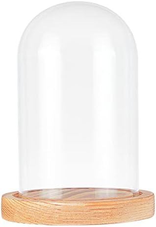 NBEADS Eternal Flower Glass Display Dome Cloche, Glass Display with Black Wood Pedestal Half Round Clear Glass Jewelry Display Case Bell Jar Cloche for Items Display Home Decoration, Wheat Color