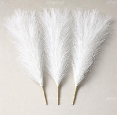 Divyakosh Artificial Pampas Grass 3 Pcs (White) Faux Dried Flowers Small Flower Stems for Home Decor, Living Room, Bedroom, Table Vase Decoration Office Boho Decor (41 cm, No Vase)