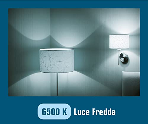 Beghelli - Lampadine LED TUTTOVETRO E14 5W, Luce