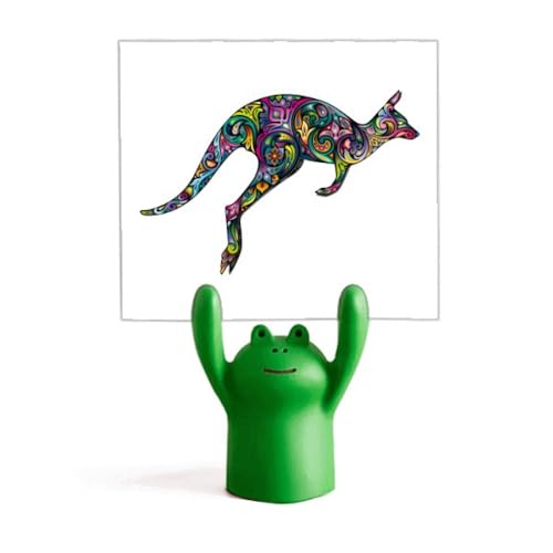 Mémo support grenouille coloré décoration illustration dessin animé Australie