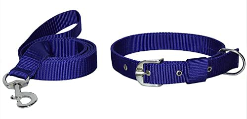 Pups&Pets Nylon Leash and Collar Set Suitable for Medium and Large Dog (0.75 INCH) - Color Blue (B09P3R8M9R) Amazon Price History, Amazon Price Tracker