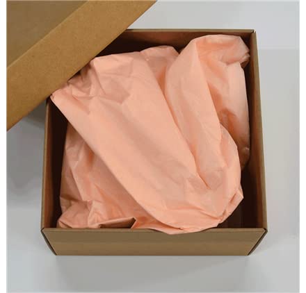 Carta salmone pastello (confezione da 500) 50 x 75 cm