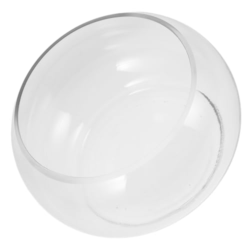 TINEASUR ciotola per piantare fioriera da esterno vasi da esterno vase vasi per pesciera contenitori plastica ciotola di narciso di acquario per ufficio Bicchiere Transparent