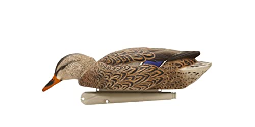 Avian-X Topflight Fusion Mallards Durable Ultra Realistic Floating Hunting Duck Decoys, Pack Of 6, Avx8076 #TOP6
